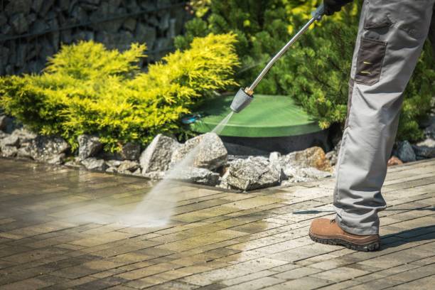 Animal Enclosure Cleaning in Choteau, MT